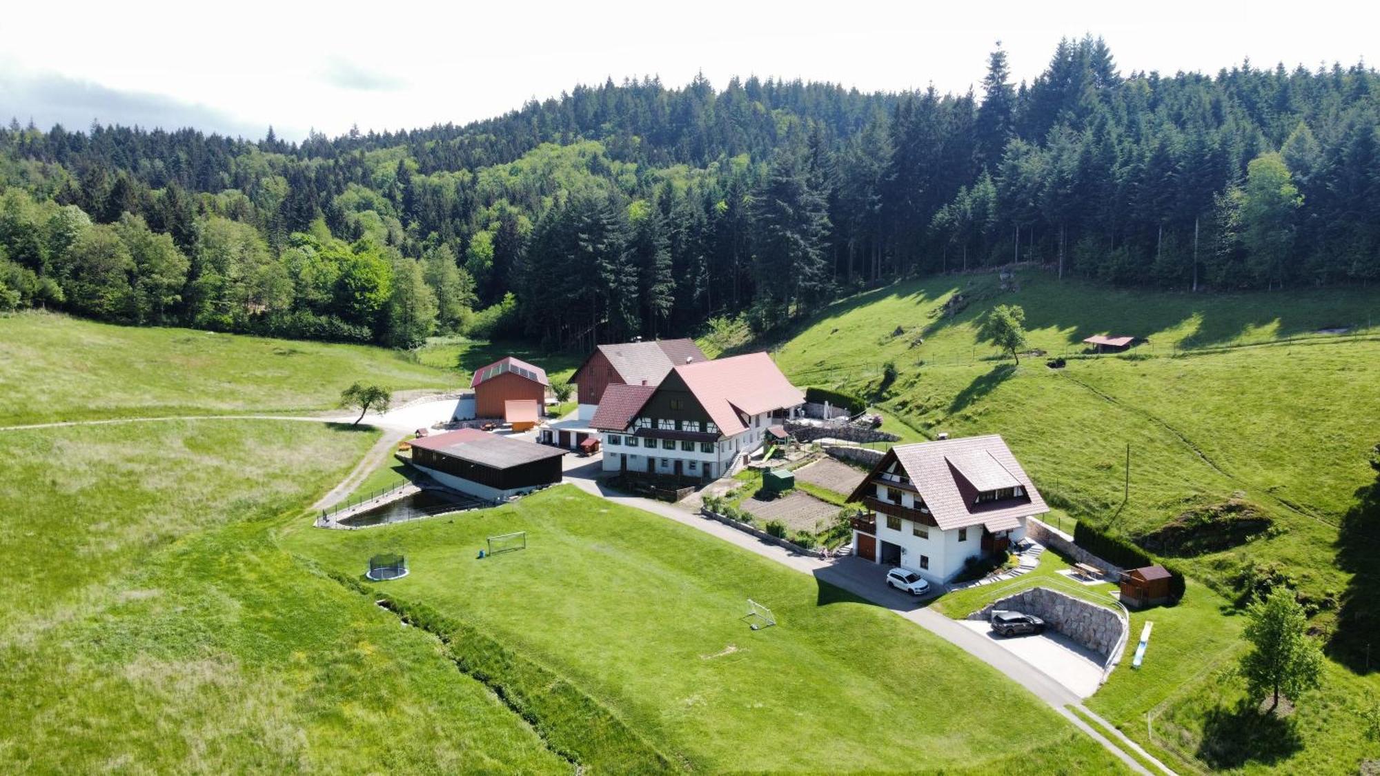 Ferienhof Benz Kappelrodeck Luaran gambar